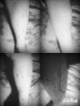 /album/galerie-photos/a11065038-1423331814633198-405950703-o-jpg/